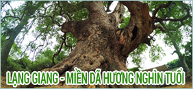Công nhận điểm du lịch- Cụm di tích cây Dã Hương, đền, chùa xã Tiên Lục, huyện Lạng Giang