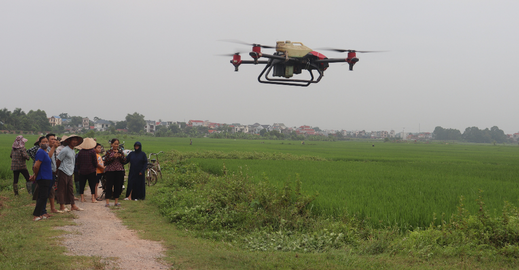 Lạng Giang: Sử dụng thiết bị bay không người lái phun thuốc trừ sâu bệnh cho lúa